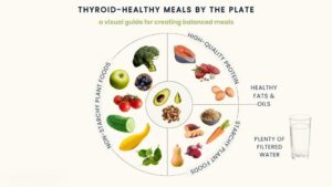 Healthy balanced plate with protein, vegetables, and carbohydrates