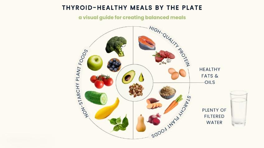 Healthy balanced plate with protein, vegetables, and carbohydrates